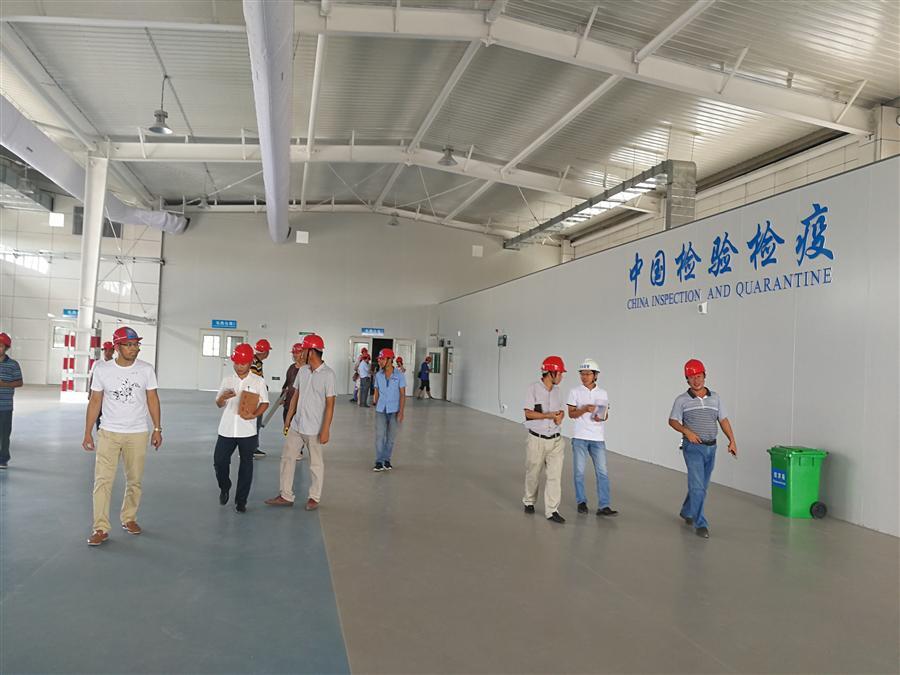 DS视讯·(中国)官方网站