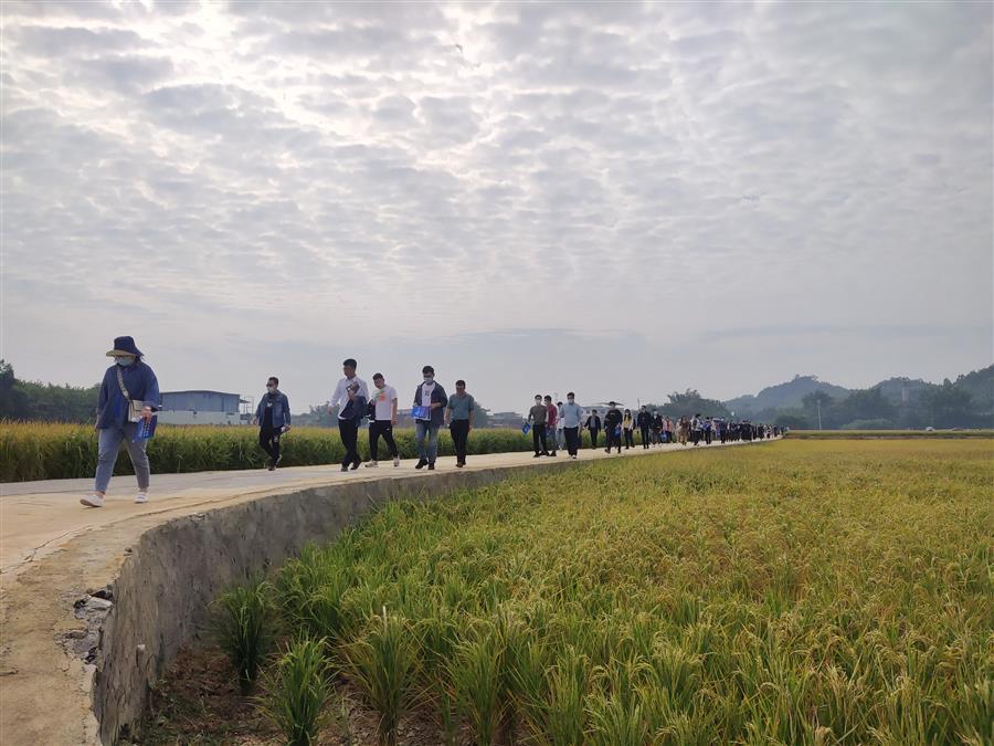 DS视讯·(中国)官方网站