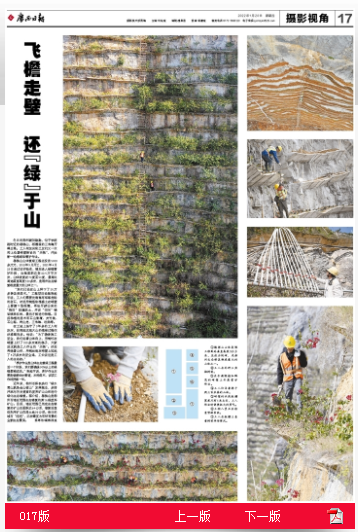 DS视讯·(中国)官方网站