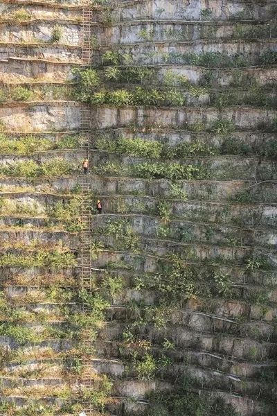 DS视讯·(中国)官方网站