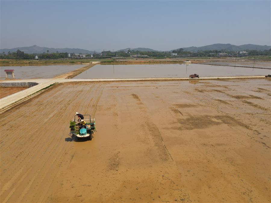 DS视讯·(中国)官方网站