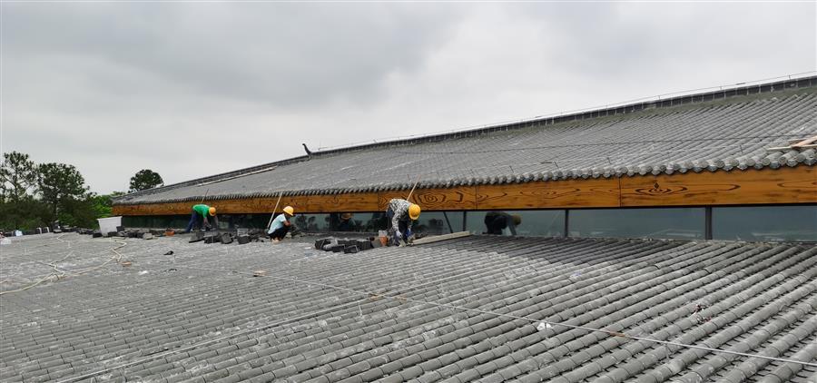 DS视讯·(中国)官方网站