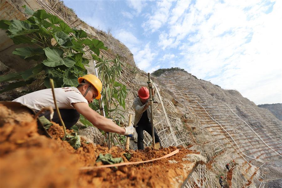 DS视讯·(中国)官方网站