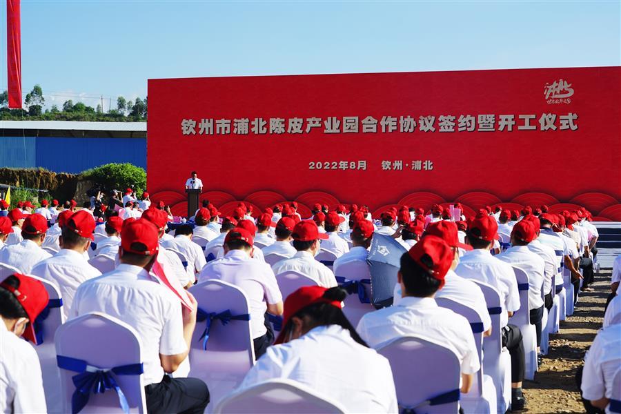 DS视讯·(中国)官方网站