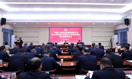 冶建公司2025年党DS视讯作暨2024年度党组织书记述职评议聚会召开